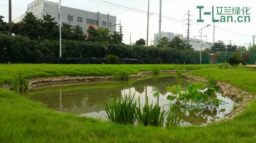 软底鱼池
